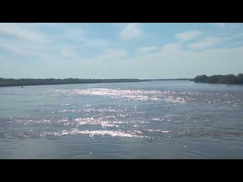 Argentina 🇦🇷  Paraguay 🇵🇾 frontera isla del cerrito