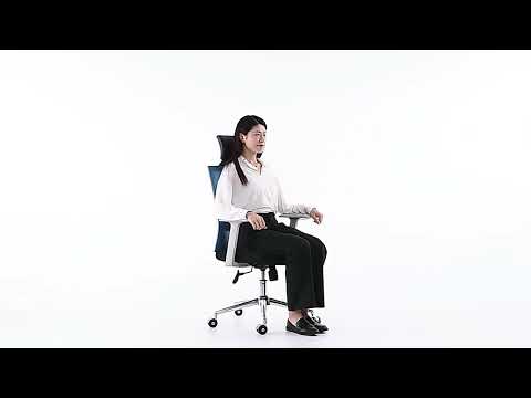 Elevate Comfort & Productivity with BIQI’s Ergonomic Mesh Chair!