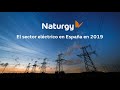 El sector eléctrico en España en 2019
