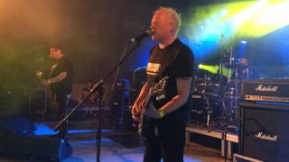 The Lurkers "Ain't Got a Clue + I'm on Heat" live at Rock in Raia 2, Portugal (16.07.2016)