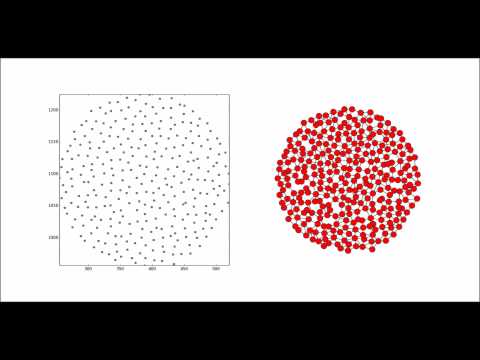 Morphogenetic Swarm Chemistry (Class D)