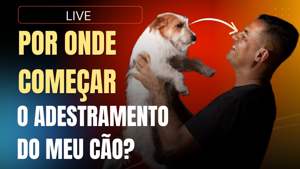 POR ONDE COMEÇAR O ADESTRAMENTO DO SEU CÃO?