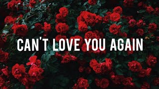 Avicii - Can&#39;t Love You Again ft. Tom Odell [inglés y español]