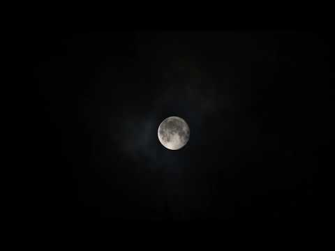 04/ J. Daniel - Perpetua