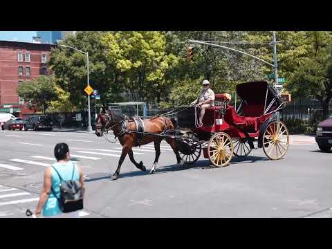 video 1