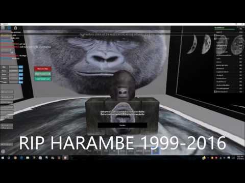 HARAMBE