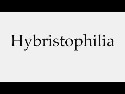 How to Pronounce Hybristophilia