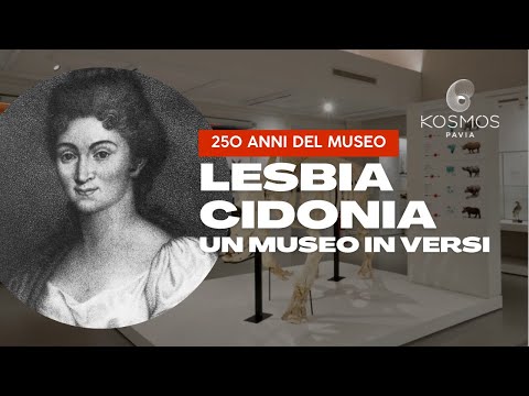 250 anos do Museu - Lesbia Cidonia, um museu em versão