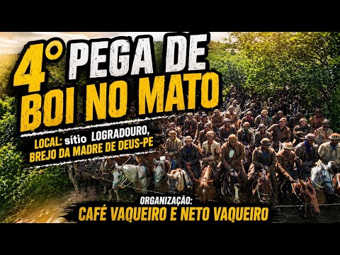 4° Pega de boi no mato no Sítio Logradouro, Brejo da Madre de Deus-PE Org: Café e Neto 