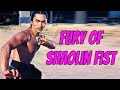 Wu Tang Collection - Fury of Shaolin Fist (Subtítulos en ESPAÑOL)