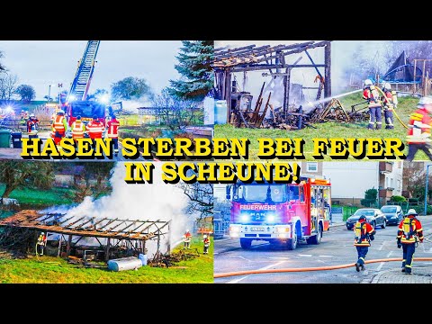 [BARN IN FIRE: HARES DIE IN THE FLAMES] - WALDBRONN FIRE DEPARTMENT IN MAJOR OPERATION -