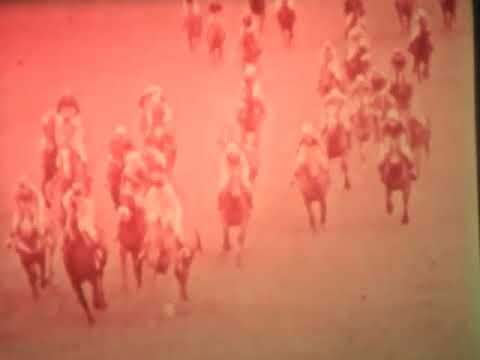 Aintree 1967 Grand National Tim Durant.  big pile up