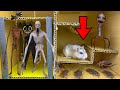 🐹😱 ALL MONSTERS Trevor Henderson Hamster Obstacle Course Maze With Traps 😱