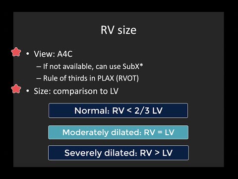 Basic Right Ventricle Assessment with POCUS