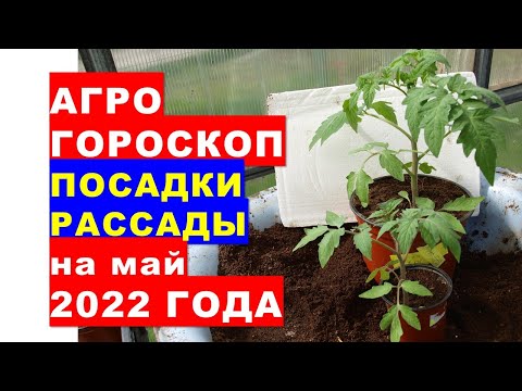 , title : 'Агрогороскоп посадки рассады в теплице и в открытый грунт в мае 2022 года'