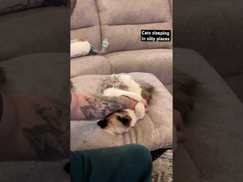 I don’t wanna wake her up 😭