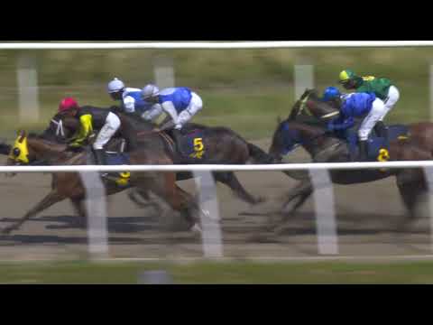 2021.08.01 Hurricanelöpning (SWE) - Wolfof Vancouver