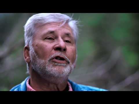 Fly Fusion - Episode 3: Answering the Why Question