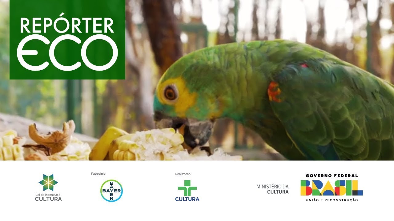 Repórter Eco | 20/08/2023