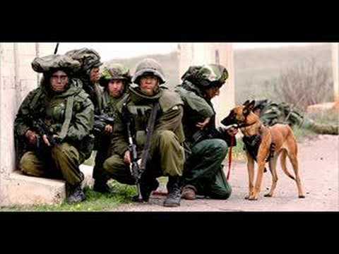 Sõjateadus on kunst ja sõdur elustiil...