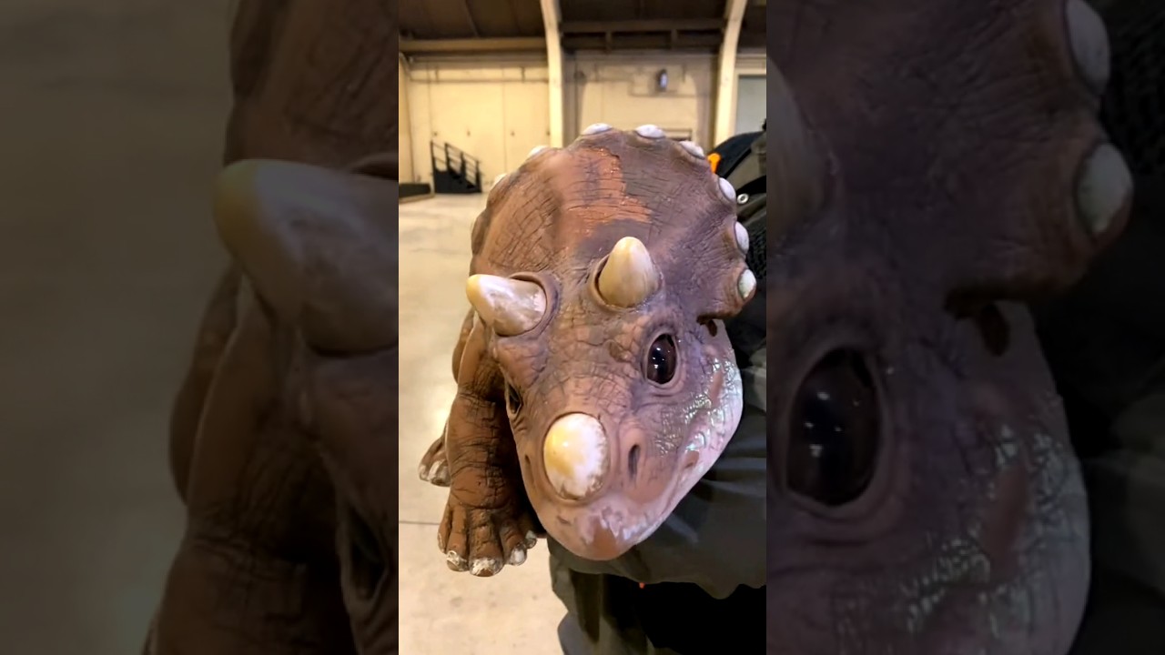 incredible animal transformation !!