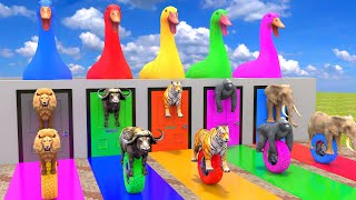 Video thumbnail image