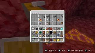 [マイクラ]初心者がノーマルモードでエンドラ目指す！