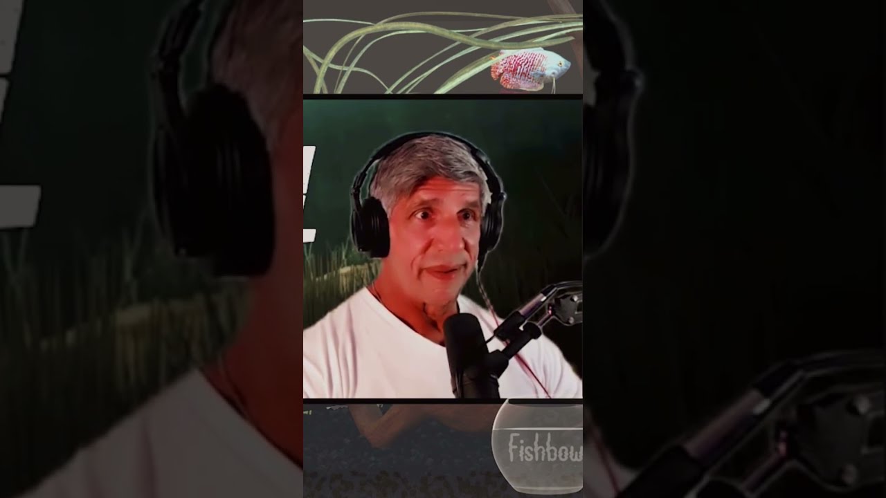 Bat shit crazy females | Fishbowl Podcast