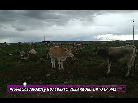 VISITA A PROVINCIAS  AROMA Y GUALBERTO VILLARROEL DEL DEPARTAMENTO DE LA PAZ