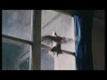 The Bird / L