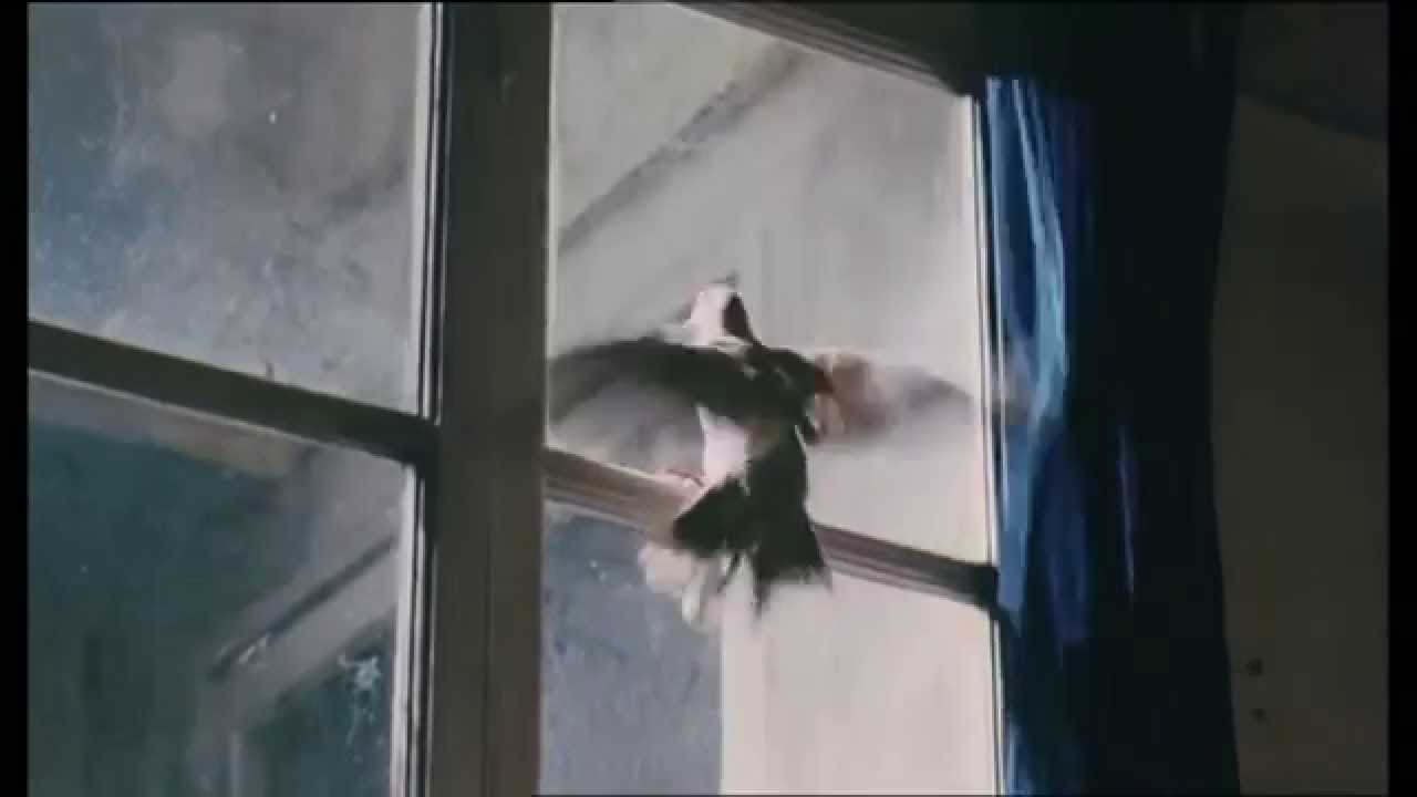 The Bird / L'Oiseau (2012) - Trailer (english subtitles)