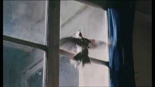 The Bird / L'Oiseau (2012) - Trailer (english subtitles)