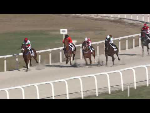 2019.03.31. 07. futam - PESTMEGYEI HENDIKEP (I.o.) (szintetikus pálya)