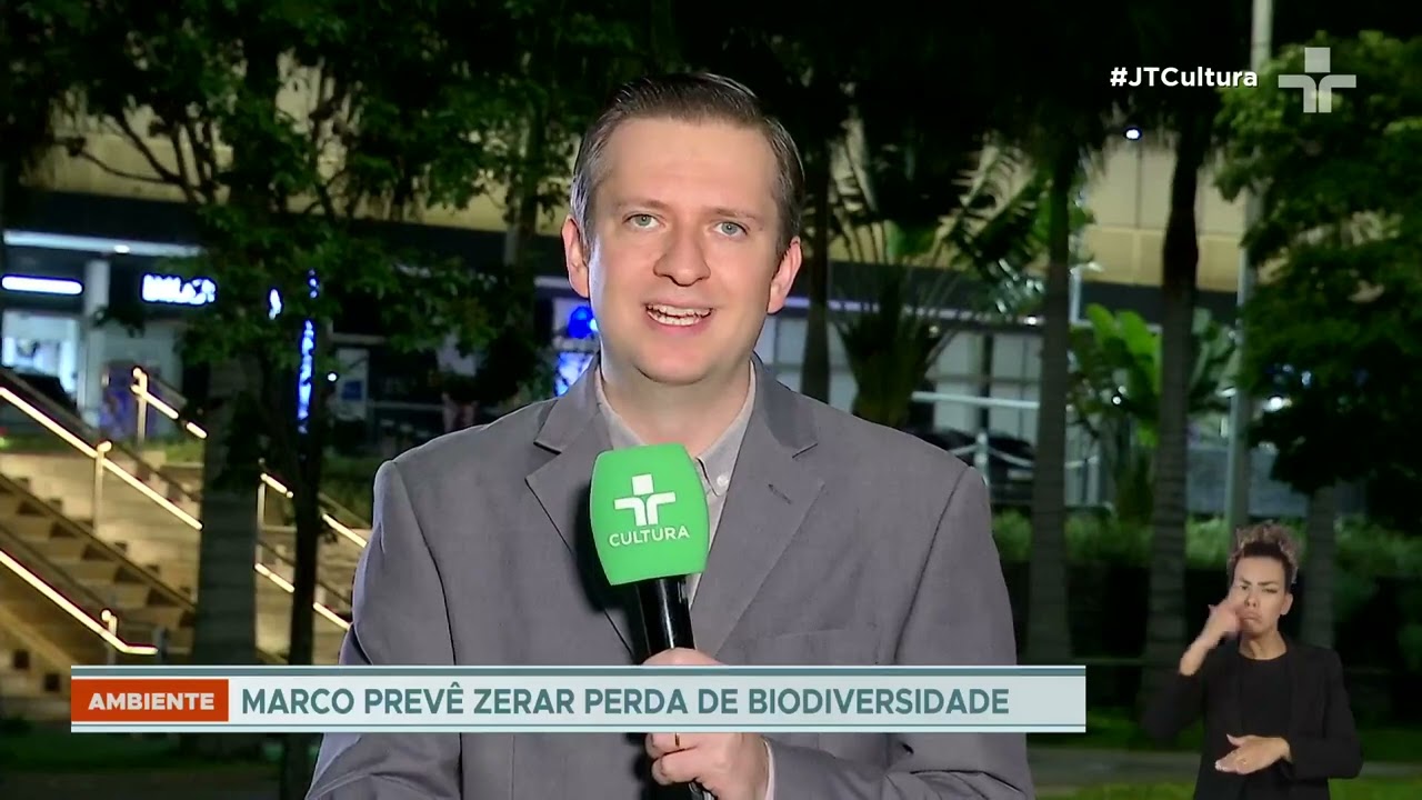 COP 16: Brasil chega à Conferência Internacional sem metas definidas para proteção ambiental