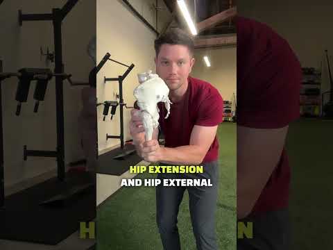 This muscle causes a TIGHT IT-BAND #kneepain #itband #kneepainrelief #hippain #hippainrelief