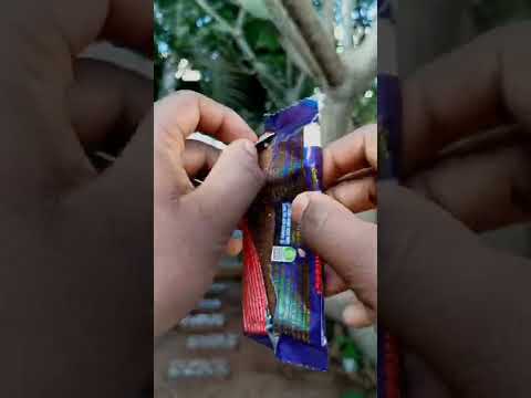 Cadbury dairy milk fruit & nut chocolate #shorts
