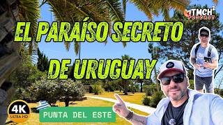 Isla Gorriti: El Paraíso Oculto de Punta del Este que Pocos Conocen 🌴🔥