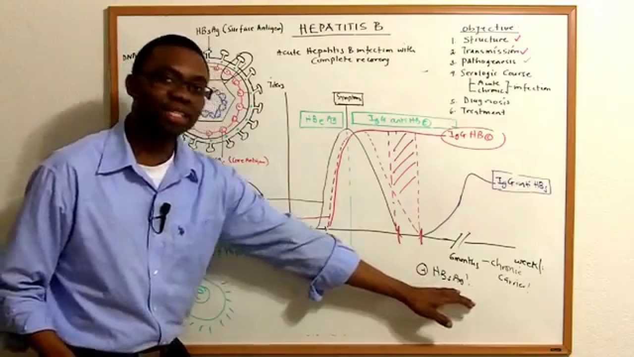 Hepatitis B lecture Video - YouTube