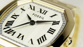  From The Archives - The Bestselling Harlow Watch