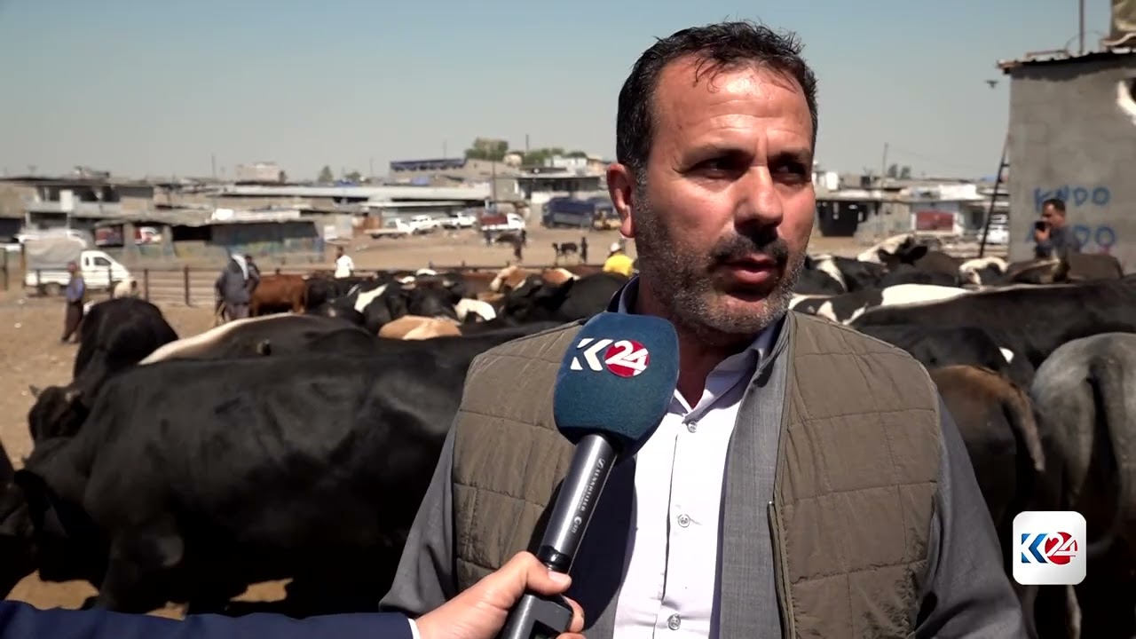ڤیدیۆ | مەیدانی ئاژەڵان پڕبووە لە ئاژەڵی قوربانی