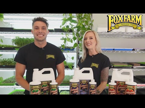 How to Use FoxFarm’s Cultivation Nation 3-Part Liquid Fertilizers