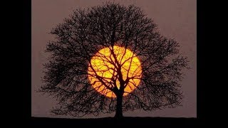 Olvidos -Cómplices-