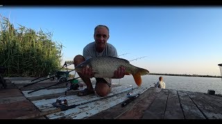 Рыбалка в перепелкино джанкойский район 2019