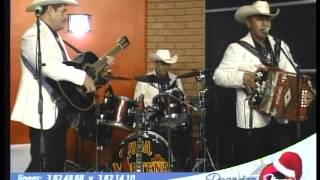 los milagros del norte "abeja reina"