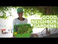 Growing Healthy Organic Food For The Community With Good Neighbor Gardens