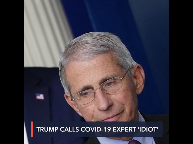 Trump slams gov’t COVID-19 expert Fauci ‘and all these idiots’