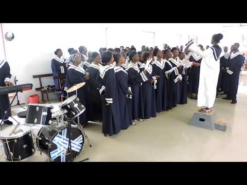 Por onde me conduzir