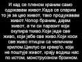 Skabo - Vuk Lyrics 