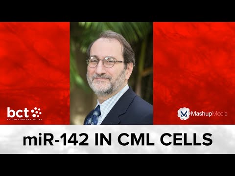 Synthetic miR-142 Prevents Transformation of Chronic Myeloid Leukemia