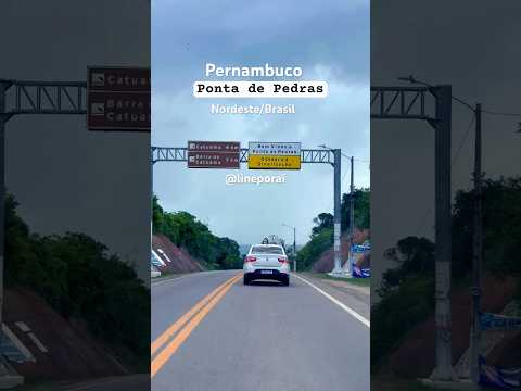 Praia Ponta de Pedras #pernambuco #praiasdonordeste #brasil #turismo #deuséfiel #litoralnorte